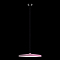 Светильник LOFT IT 10119 Pink