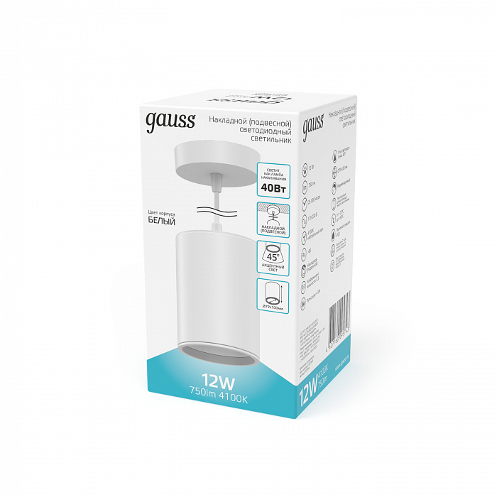 Светильник Gauss HD044