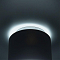 Светильник Citilux CL745010N