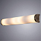 Интерьерная подсветка подсветка картины ARTE LAMP A5210AP-4AB