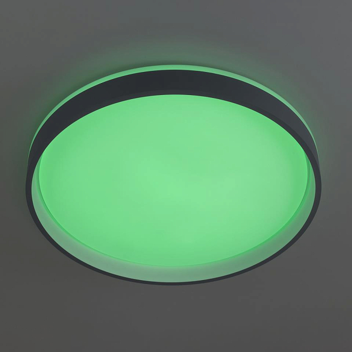 Светильник Citilux CL753453G