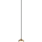 Люстра NewRgy 8438MDM-2S BK+GD BLACK+CLEAR