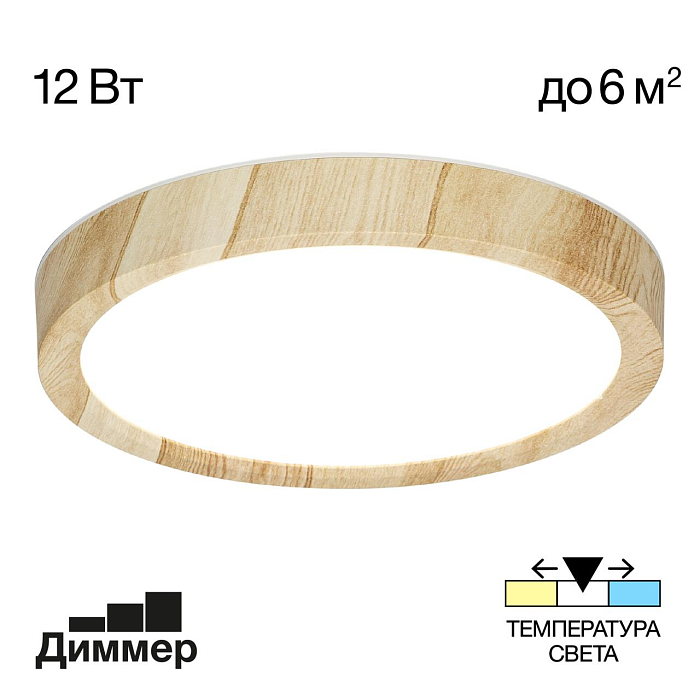 Светильник Citilux CL738122N
